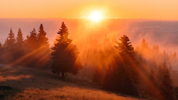 传说中的引魂之花_彼岸花