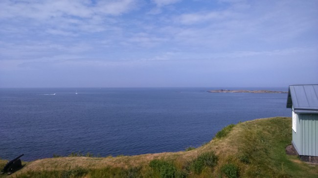 最省心 最适合室内养的萌植 多肉玉露