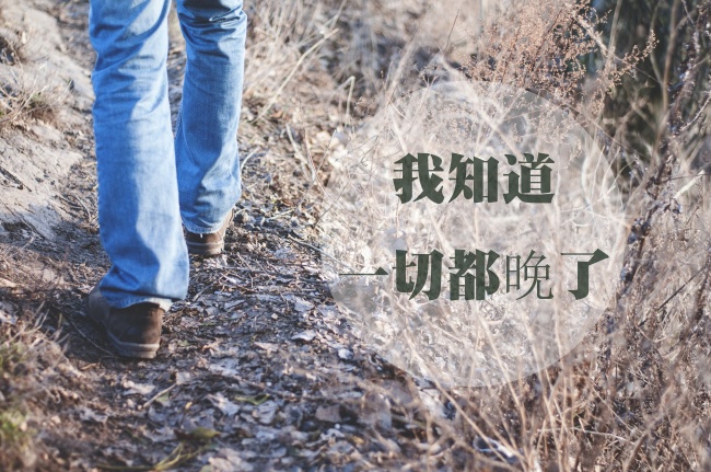 一直把话说得过重 让彼此之间难堪尴尬的星座