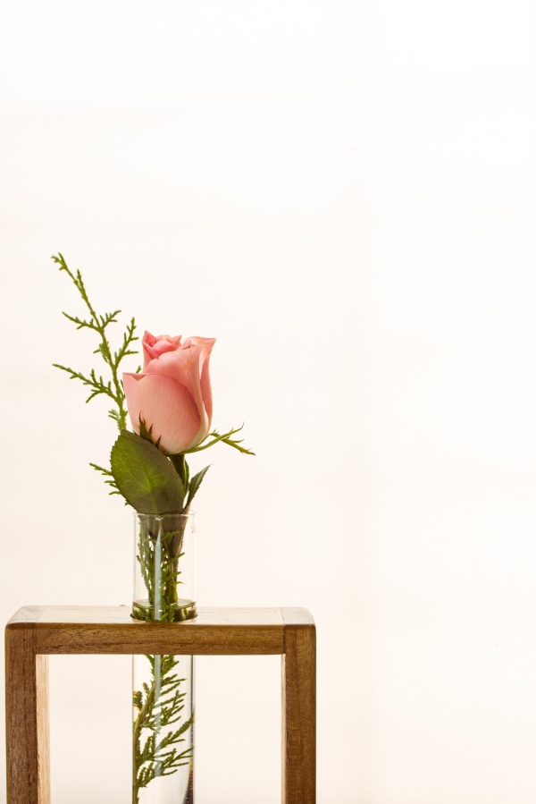 愁断九回肠_彼岸花