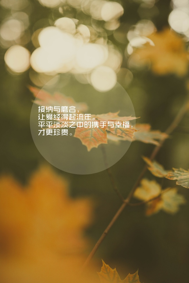 2020金牛座南流星雨几点 在哪里看