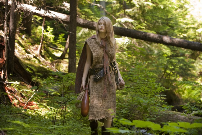 不需要阳光 也能常青的小植物