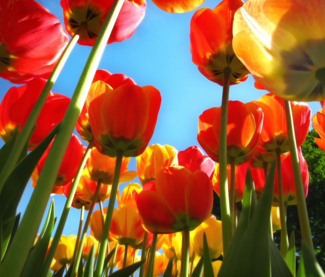 有钱不炫富的星座女