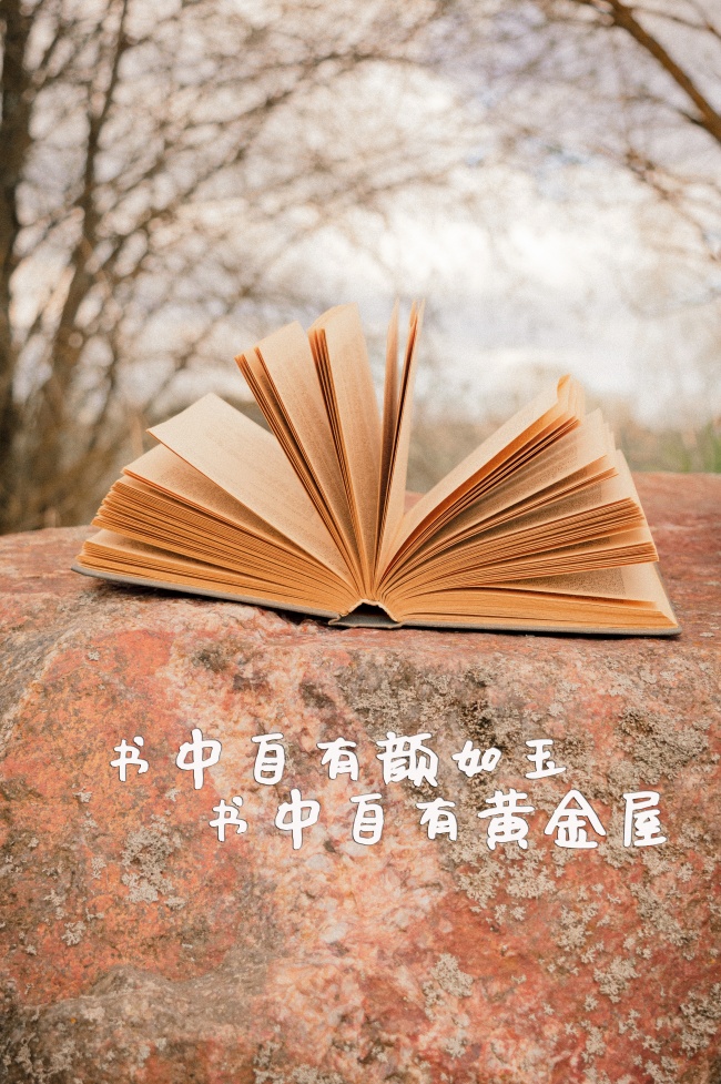 11月中旬 总被烂桃花欺骗 易被劫色的星座