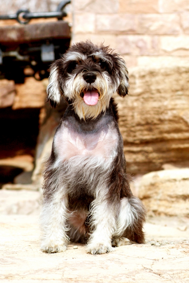 事情不顺 这些星座就会开始气急败坏