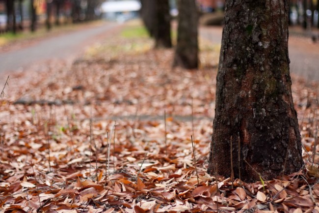 属龙白羊座和属狗天蝎座姻缘指数解析 在一起合适吗