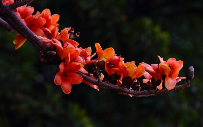 超级爱吃醋的星座男朋友你有遇到吗