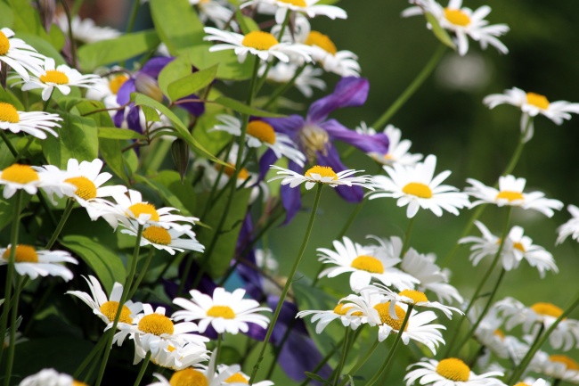 海王星冲日时间表 时间间隔