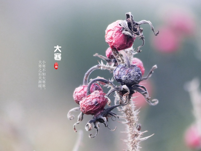 下个月桃花星闪耀,会有心动异性出现的四大星座