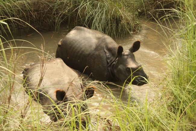 8.12日英仙座流星雨是在几点 最佳观赏地