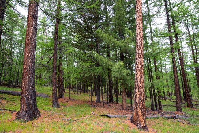 英仙座流星雨 2020在哪里可以看到 辐射点在哪里
