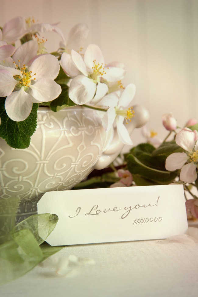 属羊白羊座和属狗摩羯座在一起怎么样 分析大全