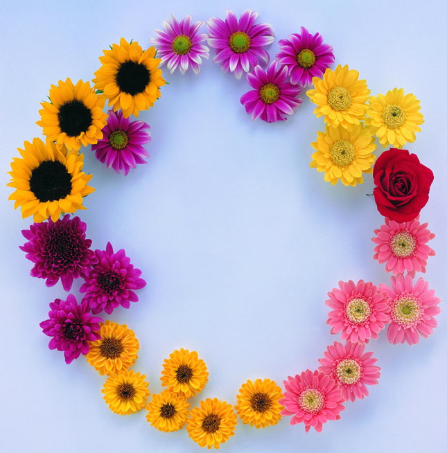 英仙座流星雨在哪看直播 肉眼可见吗