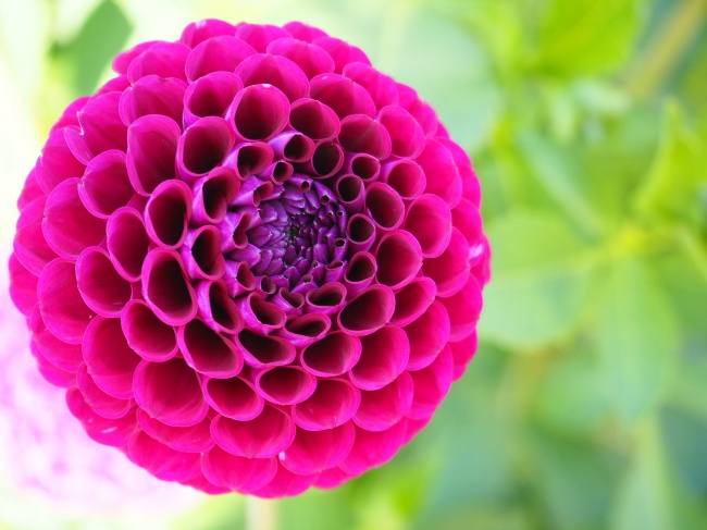 星座满月是什么意思 如何应对