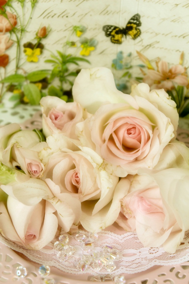 怎么查自己的星座最准确