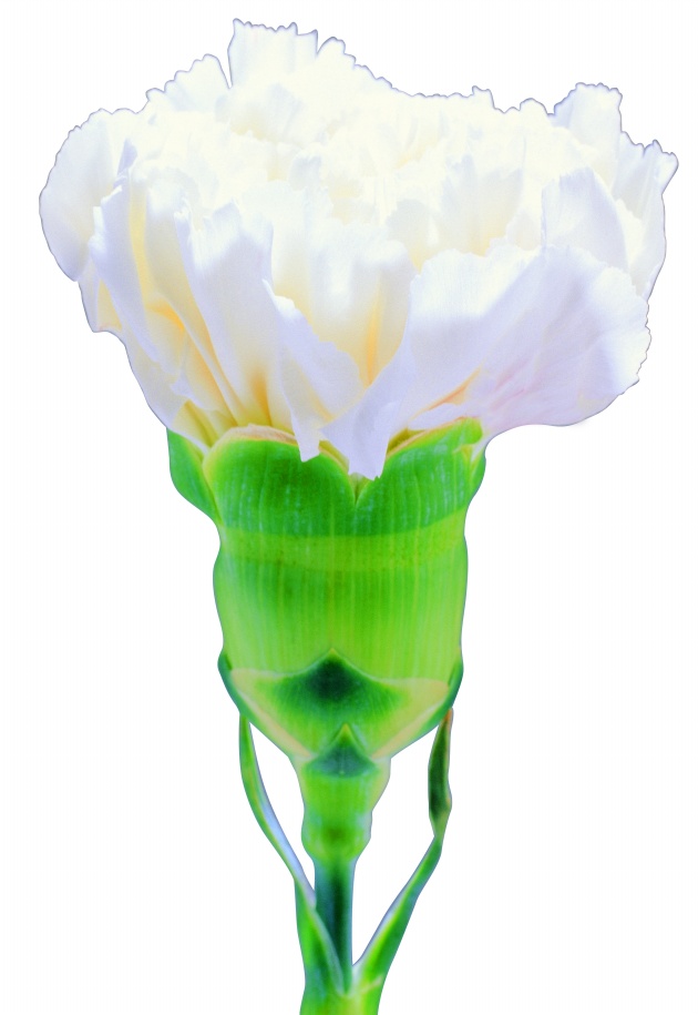 天蝎女摩羯男床上表现如何 配合度