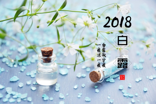 喜欢调戏鲜肉男的星座女