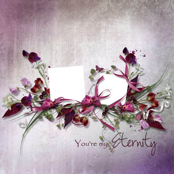 12星座中|双子座和处女座的婚姻指数