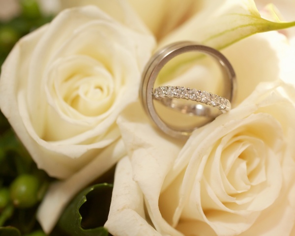 诗经楚辞中最唯美的女孩名字