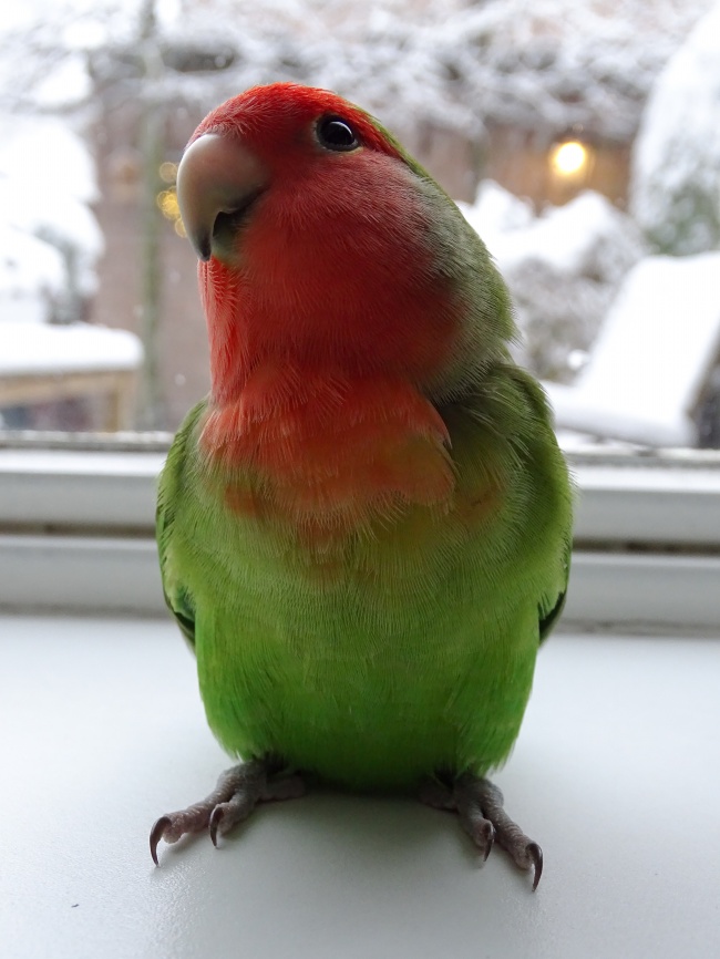 姓时女孩名字大全 起名方法