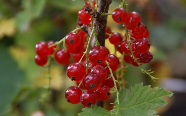 最热门的2022年虎宝宝名字 取名技巧