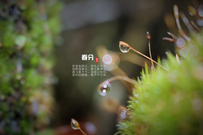 取公司名字木材批发公司最新起名名称