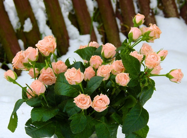 姓卞的男孩名字 有文化气息的