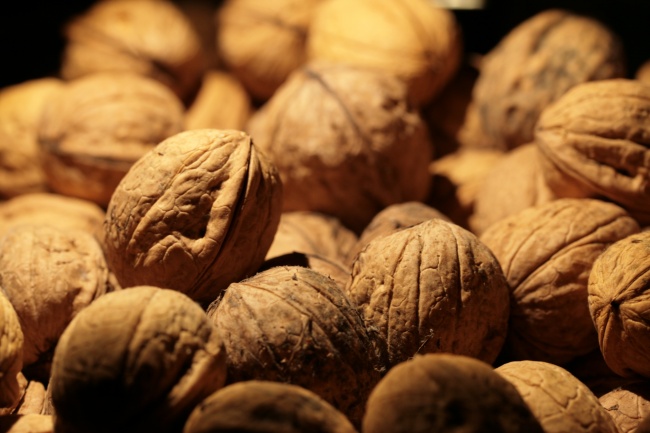 2022一月份出生的属虎宝宝取名 最新版名字大全