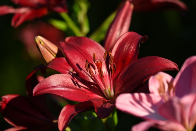 姓卞男孩起名字大全 三个字的姓名