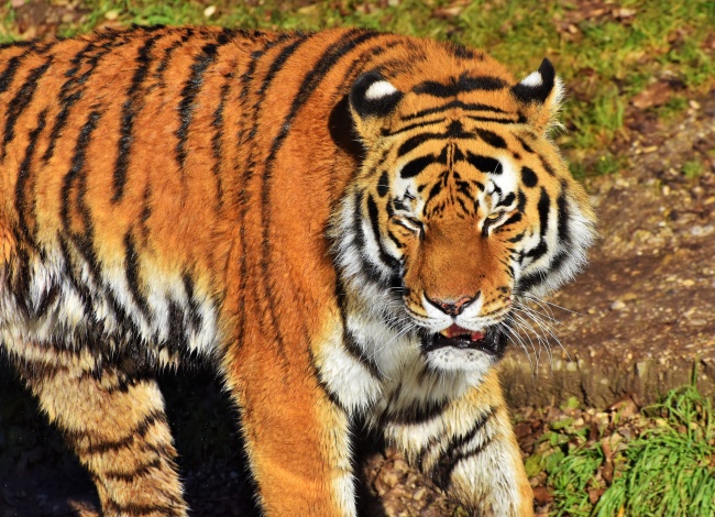 10月财运最好的星座2022年 谁是幸运儿