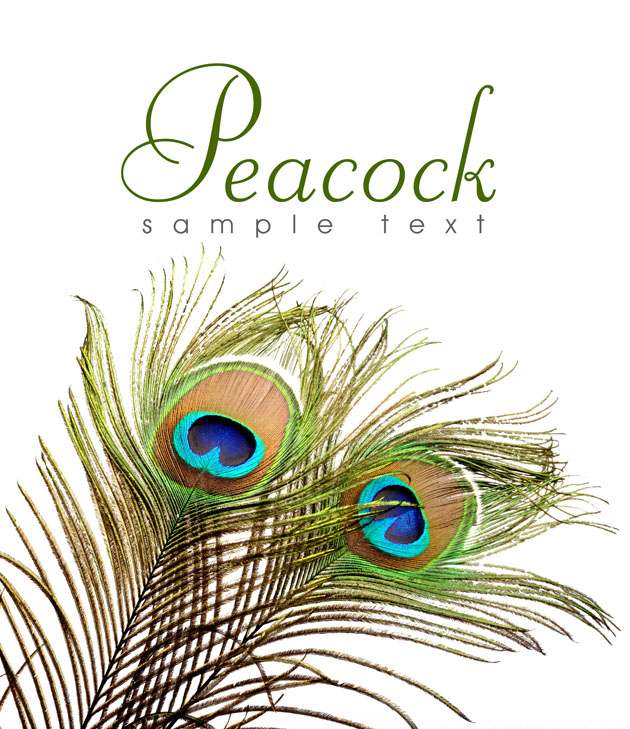 在11月下旬,四大星座与旧爱复合,真爱延绵