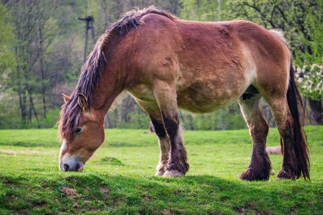 9月有正缘的星座2022年  你的姓名上榜了吗