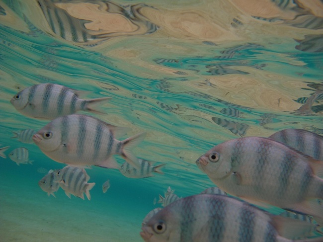 11月中旬,有望得到真爱青睐的4星座