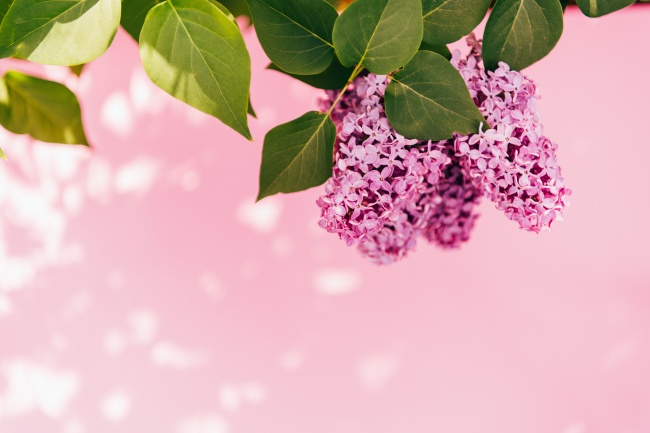 爱情测试 白羊座和摩羯座的配对评分、比重、解析