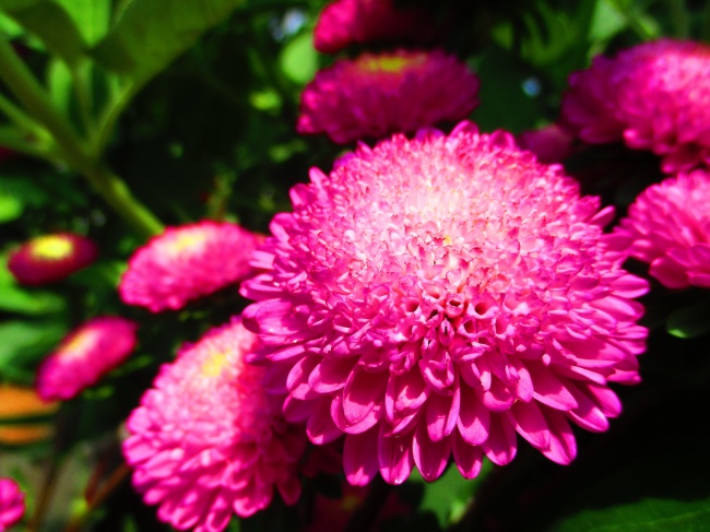 什么星座的男女肚量大？ 宰相肚里能撑船