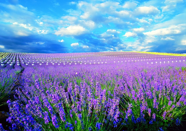 处女座姐弟恋婚配好吗？  新旧观念撞击