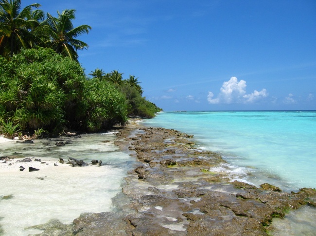 元姓女孩名字古风的 绝美的取名