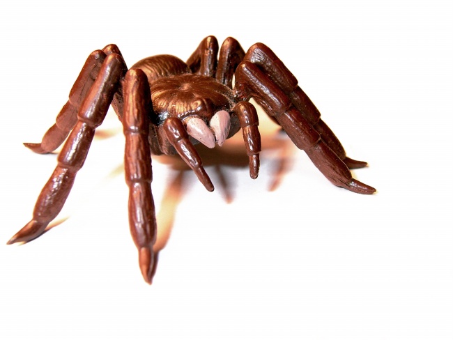 2022年双鱼座爱情劫在哪月