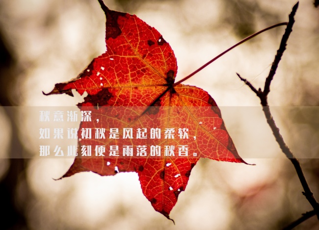 2022年青年节婚姻运直线上升的星座 稳定幸福金牛座