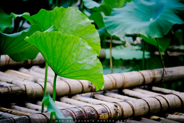 爱情测试 金牛座和处女座的配对评分、比重、解析