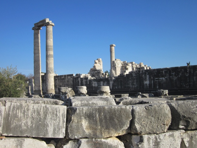 狂月天时 十二星座每日运势11月11日运程