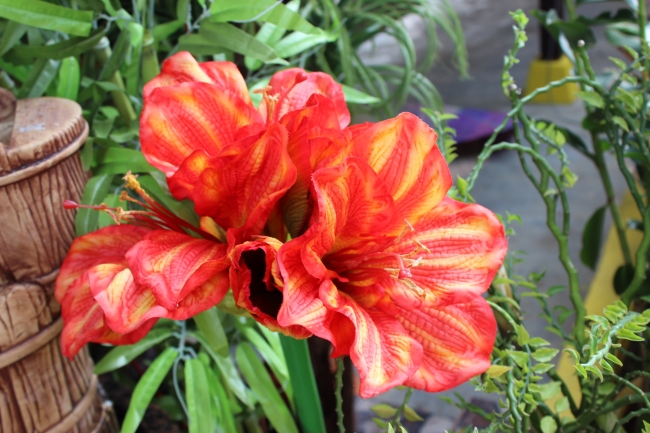 重拾好运|接下来走向人生巅峰的3星座