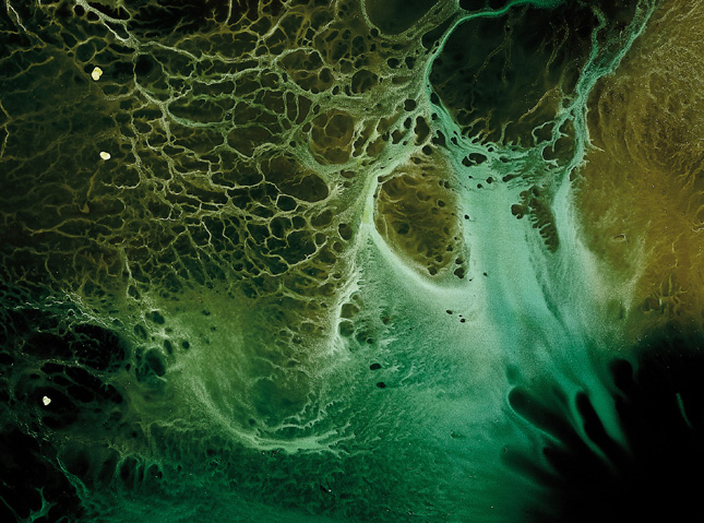 追到就是赚到的星座女  错过可惜