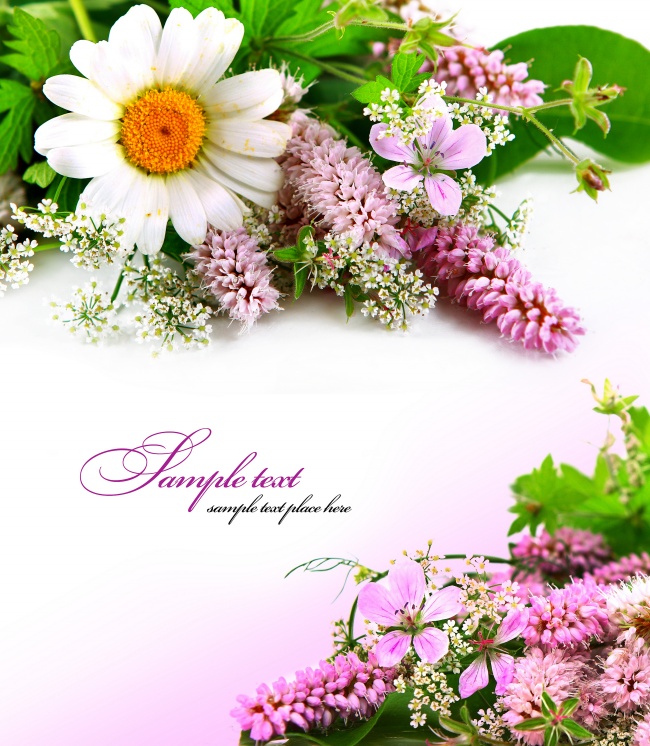 金牛座恋爱会贪图对方什么  图固若金汤的爱情