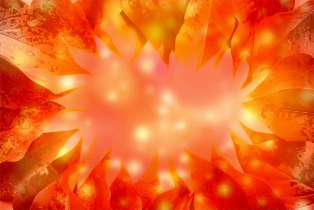 2022年父亲节艳遇指数高的星座 双鱼座有好运