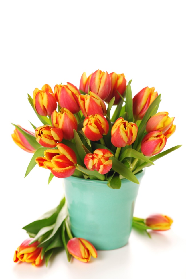 分手后会拉黑对方的星座 有你吗