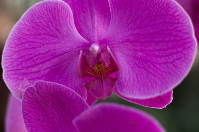 餐饮娱乐公司起名 三个字的公司名称