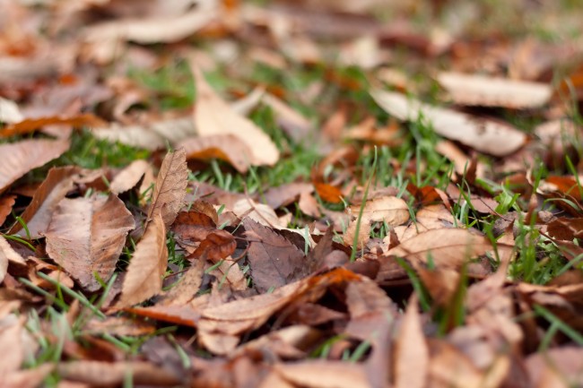 射手座2022年爱情吉月吉日吉时完整版