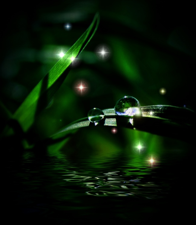 传统又不死板 贤惠顾家好老婆星座女