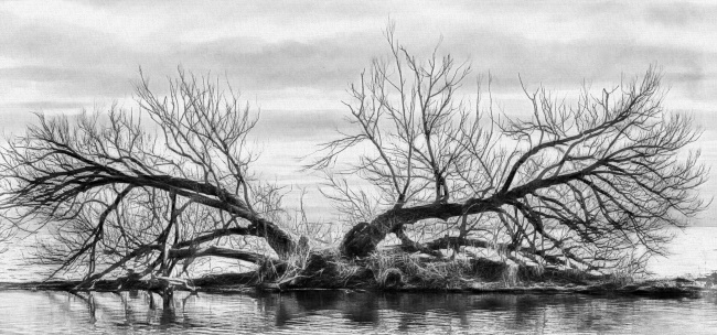 2022年七夕情人节爱情运极好的星座 喜结良缘爱情甜蜜金牛座